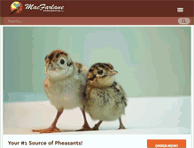 Tablet Screenshot of pheasant.com